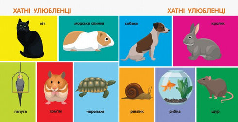 100 animais. Livros inteligentes