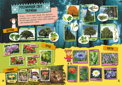 Minha Ucrânia natal