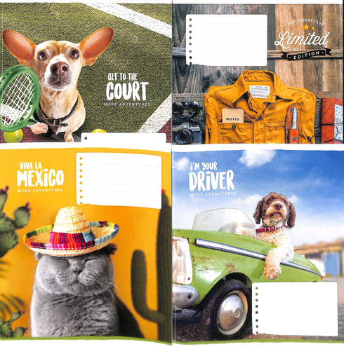 Caderno em linha 18 fls. / vários motivos na capa/