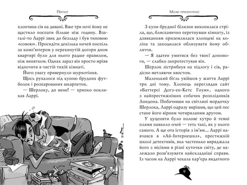 Mistério de Ágata. Livro 19. Nas pegadas de um diamante