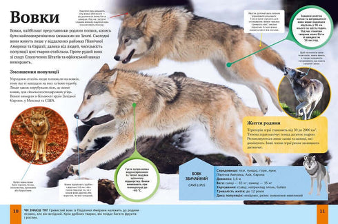 Enciclopédia Infantil dos Animais