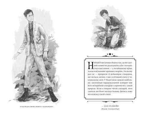 Animais Fantásticos. Os Segredos de Dumbledore. Roteiro Original - 9786175853856