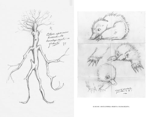 Animais Fantásticos. Os Segredos de Dumbledore. Roteiro Original - 9786175853856