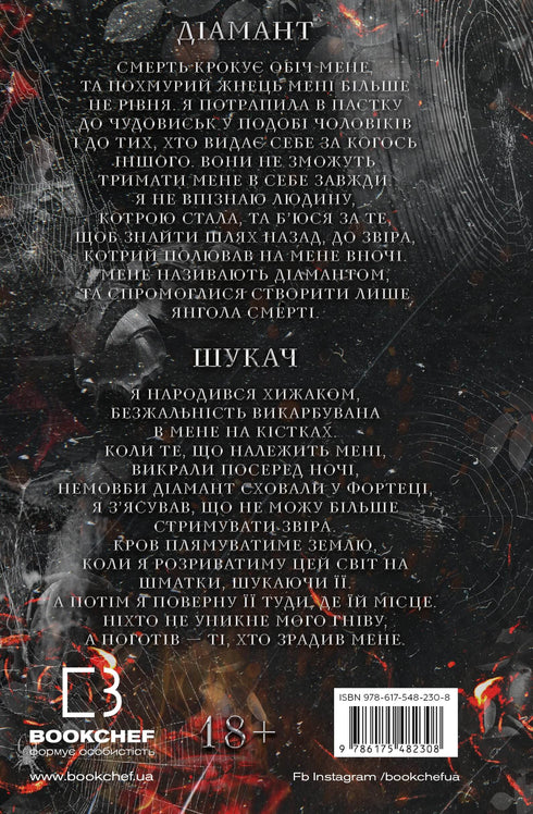 Um jogo de gato e rato. Livro 2: A Caçada a Adelina