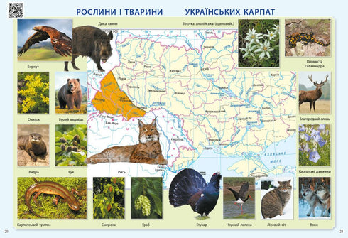 Eu exploro o mundo. 3ª série Atlas - 9786170962454