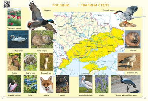 Eu exploro o mundo. 3ª série Atlas - 9786170962454