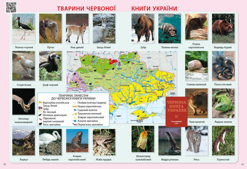 Eu exploro o mundo. 3ª série Atlas - 9786170962454