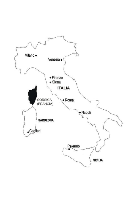 "Língua Italiana em 4 Semanas. Curso Intensivo de Língua Italiana com Aplicação de Áudio Eletrónica"