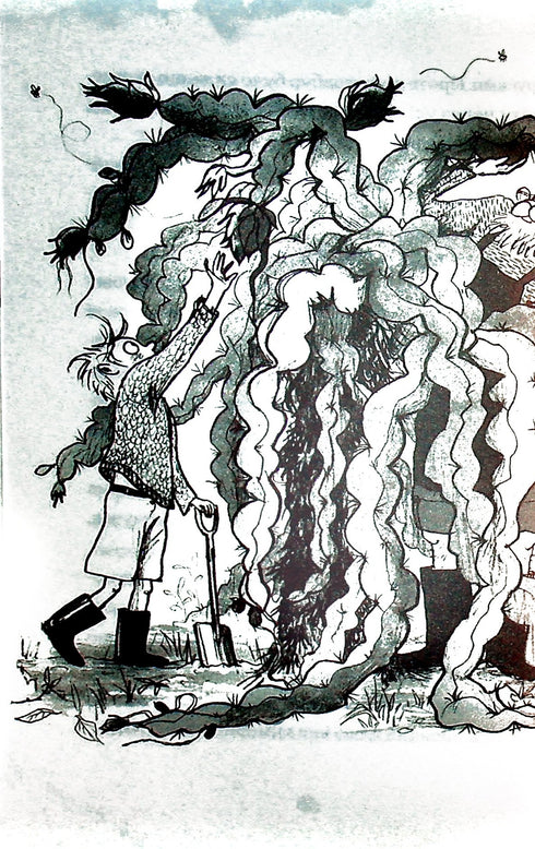 O menino que criou dragões. Livro 1