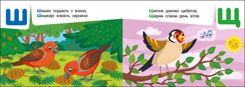 Alfabeto de bolso. Alfabeto na floresta (esgotado)