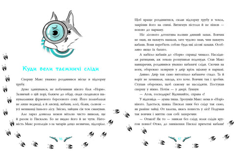 Detetive Florestal. O Mistério dos Coelhos Desaparecidos