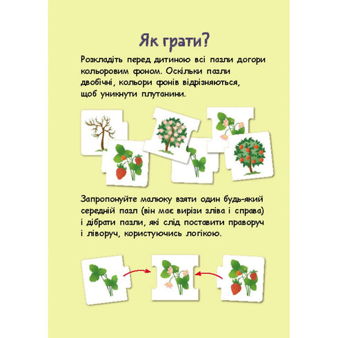 Логічні ланцюжки. Малюки тварини та їхні родини