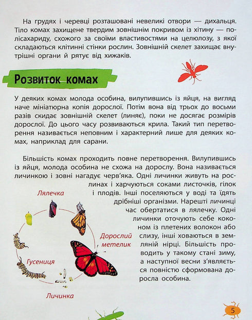 Minienciclopédia. Insetos e aranhas