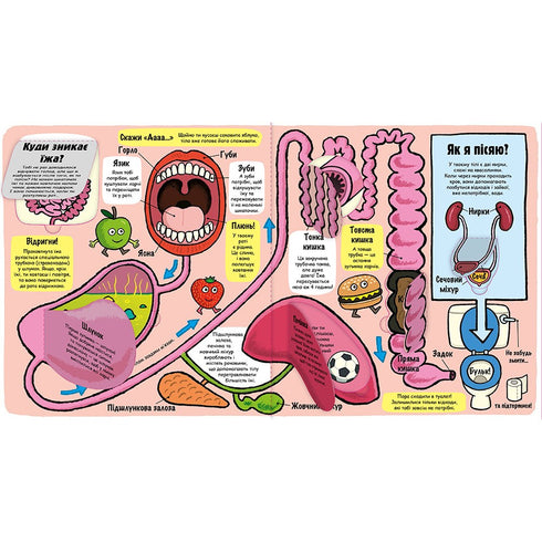 My Amazing Body. Little Explorers (out of print)