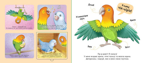 My favorites - 9789667511920