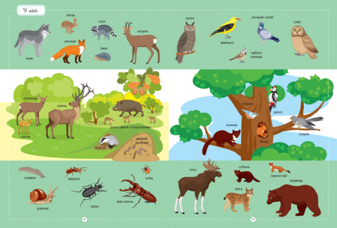The Best Animal Dictionary
