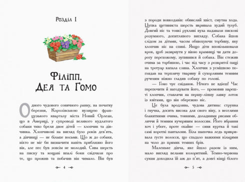 Prímula da Tuanetta Negra