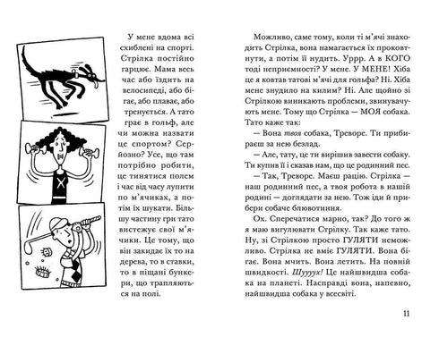 Foguete de quatro patas sob cobertura