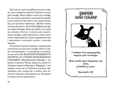 Foguete de quatro patas sob cobertura