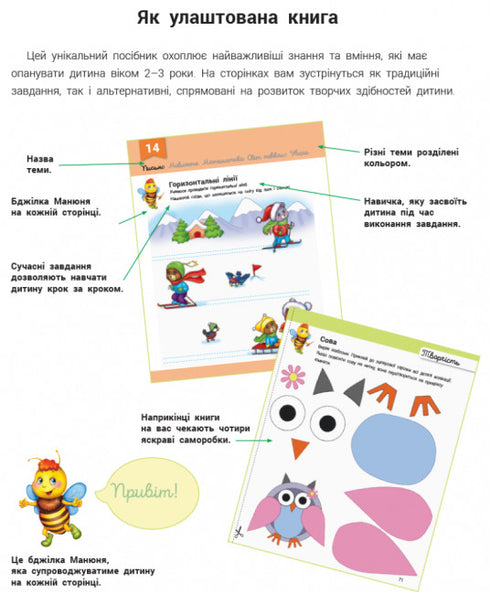 Criador com a abelha Manyunea. 2-3 anos