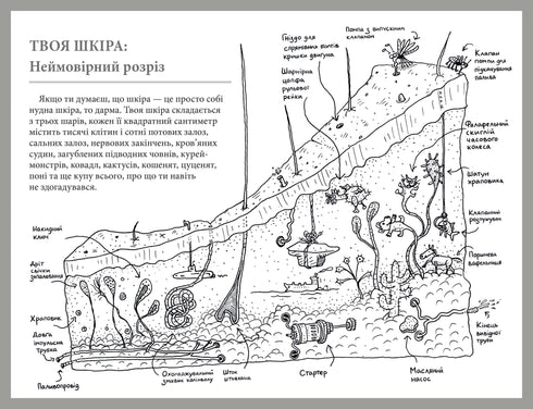 Que tipo de órgão é esse? Um guia bobo para a anatomia do seu corpo