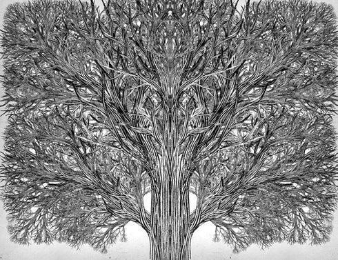 Escola do Bem e do Mal. O Único Rei Verdadeiro. Livro 6