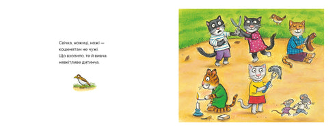 Entre amigos felinos