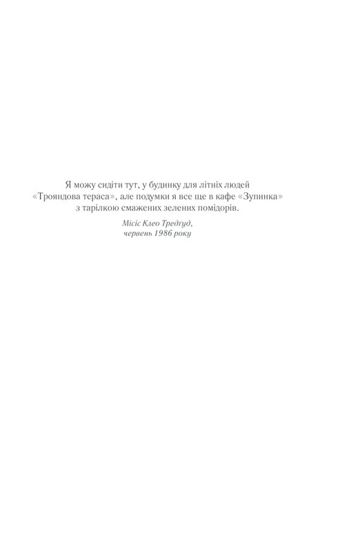 Tomates verdes fritos no café "Zupinka"