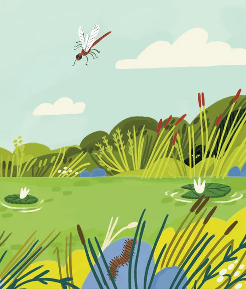 Tiranozauro Rex - 9789664483824