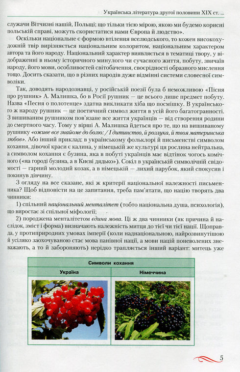 Українська література. Підручник. 10 клас