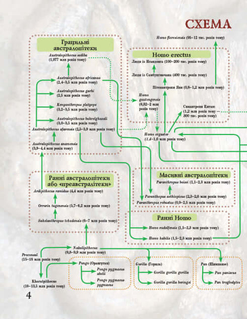 Від мавпи до людини