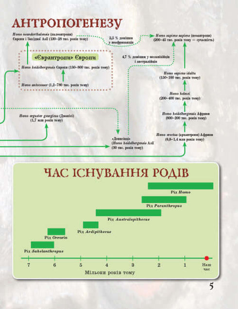Від мавпи до людини
