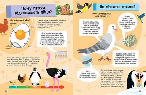 Grande enciclopédia para o porquê