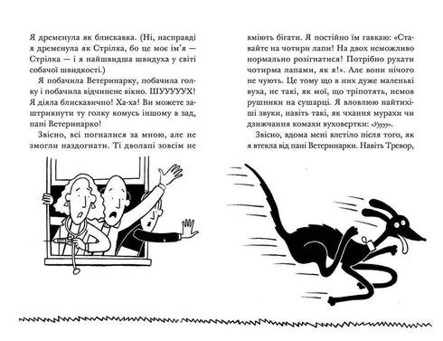 Sequestro! Verão quente do Foguete de quatro patas