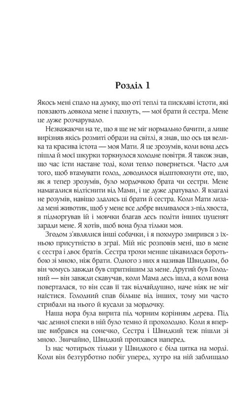 A vida e o propósito de um cachorro