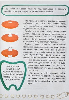 Dentinhos do bebé. Tudo sobre o cuidado dos teus dentes