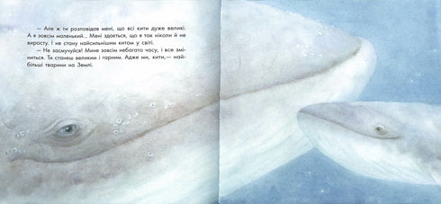 Маленький кит