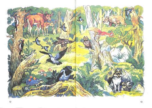 Abecedário. Manual para o 1º ano