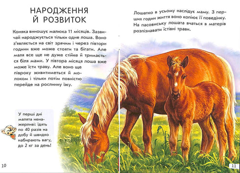 Міні-енциклопедії. Все про коней (тираж закінчився)
