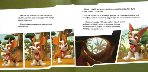 Conhecimento com o Buscador