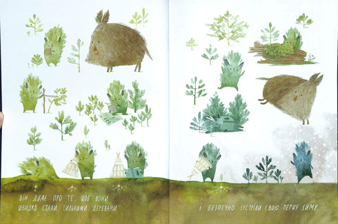 Aniversário da árvore de Natal