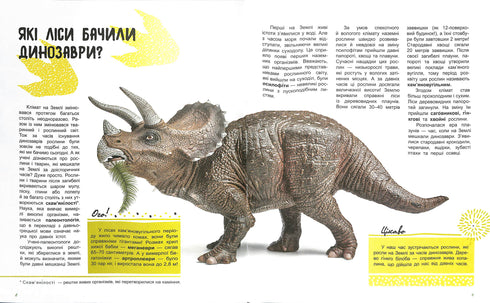 O mundo e seus segredos: A vida da floresta