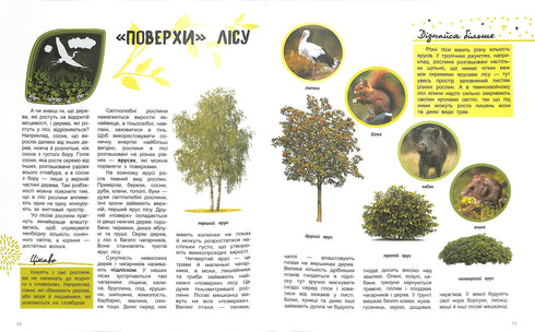 O mundo e seus segredos: A vida da floresta
