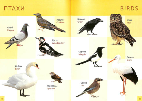 Primeiro livro do bebé/Baby's first book