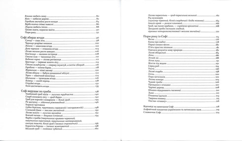 Expedição com a formiga Sofi. Exploramos a natureza à nossa volta.