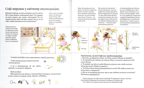 Expedição com a formiga Sofi. Exploramos a natureza à nossa volta.