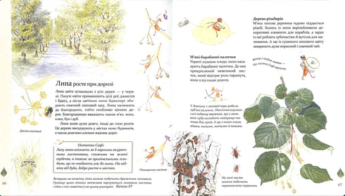 Expedição com a formiga Sofi. Exploramos a natureza à nossa volta.
