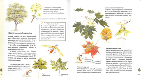 Expedição com a formiga Sofi. Exploramos a natureza à nossa volta.