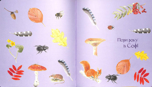 Expedição com a formiga Sofi. Exploramos a natureza à nossa volta.