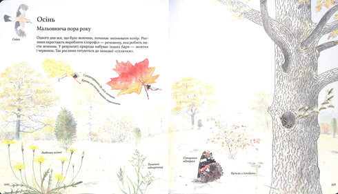 Expedição com a formiga Sofi. Exploramos a natureza à nossa volta.